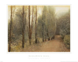 Hazelwood Trail Prints by Barbara Kalhor