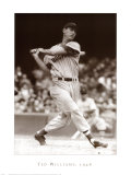 Ted Williams, 1946 Posters