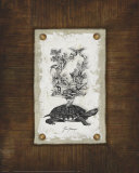 Vintage Home & Garden I Pósters por Marie Frederique Vintage Home & Garden I Pósters por Marie Frederique