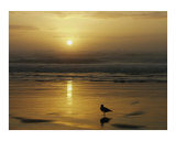 Solitude Photographic Print by Jo-Hanna Wienert