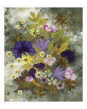 Gloire du matin reproduction procédé giclée par Shelley Xie