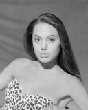 Angelina Jolie Photo