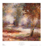 Light in Balance I Print by Cory Bannister