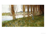 The Amber Vale, a Host of Golden Daffodils Giclee Print by John George Sowerby