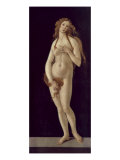 Venus Pudica Giclee Print by Sandro Botticelli