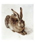 The Young Hare Giclée-Druck von Albrecht Dürer