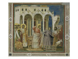 Cleansing of the Temple Giclee Print by Giotto di Bondone 