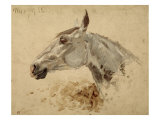 Testo Di Cavallo Giclee Print by Henri de Toulouse-Lautrec
