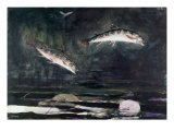 Leaping Trout Giclee Print by Winslow Homer
