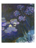 Water Lilies and Agapanthus reproduction procédé giclée par Claude Monet