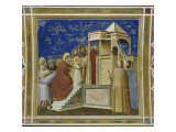 Presentation of the Virgin in the Temple Giclee Print by Giotto di Bondone Presentation of the Virgin in the Temple Giclee Print by Giotto di Bondone