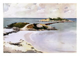 Gallows Island reproduction procédé giclée par Winslow Homer
