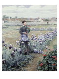 The Flower Fields Giclee Print by Daniel Ridgway Knight