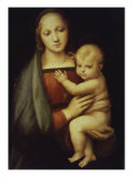 Madonna Del Granduca Wydruk giclee autor Raphael