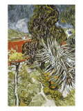 Dr. Paul Gachet's Garden at Auvers-Sur-Oise, c.1890 Giclee Print by Vincent van Gogh