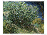 Lilas Lámina giclée por Vincent van Gogh Lilas Lámina giclée por Vincent van Gogh
