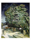 Chestnut Trees in Blossom Giclée-Druck von Vincent van Gogh