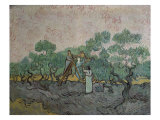 The Olive Pickers, Saint-Remy, c.1889 Giclee Print by Vincent van Gogh