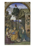The Nativity Giclee Print by Bernardino di Betto Pinturicchio