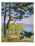 Afternoon at Pardigon Giclee Print by Henri Edmond Cross