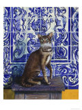 Cat of Portugal (Chat Du Portugal) Giclee Print by Isy Ochoa