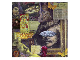 Dream Series: Rvr Lámina giclée por Gerry Charm