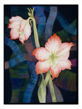 Two Amaryllis Giclee Print by Helene Baker