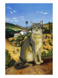 Abyssinian in the Vicinity of Seville Reproduction procédé giclée par Isy Ochoa
