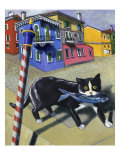 Cat of Burano (Chat de Burano) Giclee Print by Isy Ochoa