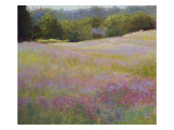 The Pink Field 3 Giclee Print by Linda O. Cohen