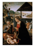 Adoration of the Infant Jesus Giclee Print by Sebastiano Mainardi