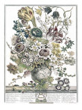 March Giclee Print by H. Fletcher