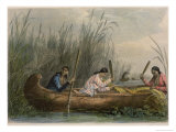 Gathering Wild Rice reproduction procédé giclée par Seth Eastman