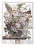 August Giclee Print by H. Fletcher