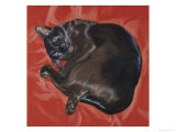 Velvet Cat I (Chat Velours I) Reproduction procédé giclée par Isy Ochoa