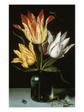 Tulips in a Glass Vase Giclee Print by Ambrosius Bosschaert the Elder
