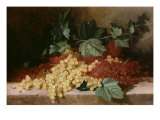 Still Life with Currants Giclee-trykk av Frederick Stone Batcheller Still Life with Currants Giclee-trykk av Frederick Stone Batcheller