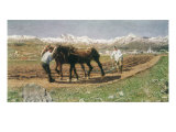 Plowing in the Engadin Giclee Print by Giovanni Segantini
