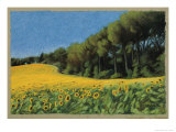 Sunflowers in Perugia Giclee Print by Helen J. Vaughn