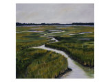 Marshes I Giclee Print by Diantha York-ripley
