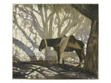 Siesta Giclee Print by Chloe Henderson Siesta Giclee Print by Chloe Henderson