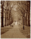 Autumn Stroll II Prints by Boyce Watt