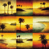 Palm Perspectives Poster by Gregory Williams