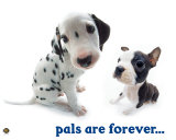 Pals Póster Pals Póster