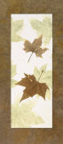 Falling Leaves III Prints by Phillip Jaeger