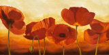 In the Sun Prints by Andrea Kahn