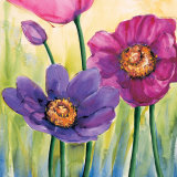Anemoni in Rosa (detail) Posters par Giuseppina Tartagni
