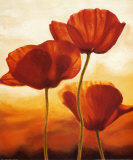 Coquelicots sous le soleil I Art par Andrea Kahn