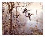Back Water Affiches par Jim Hansel