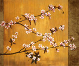 Cherry Blossoms Prints by Erin Lange